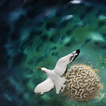 Piero Gilardi — Madrepora